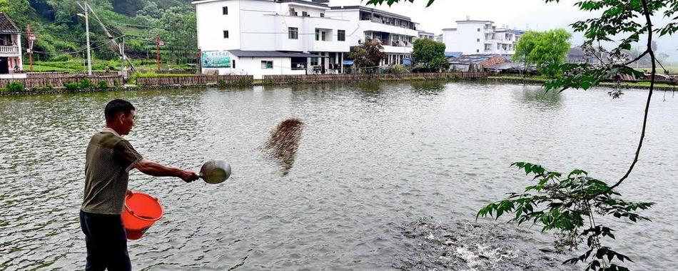 新澳2025今晚开奖结果和把西瓜扔鱼塘喂鱼与把西瓜扔鱼塘喂鱼好吗