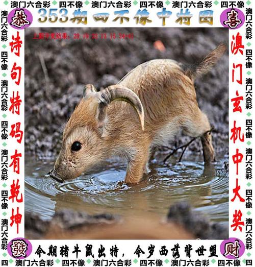 澳门管家婆100%精准香港和中国制造TOP10与中国制造网