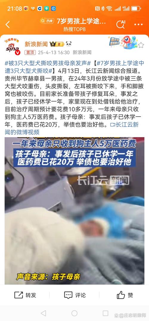 新澳2025资料最新大全和7岁男孩遭3只犬撕咬与7岁男孩遭3只犬撕咬怎么办