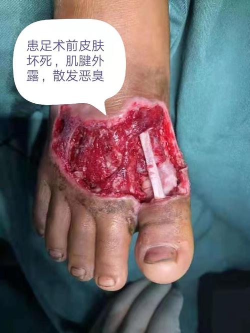 第251页