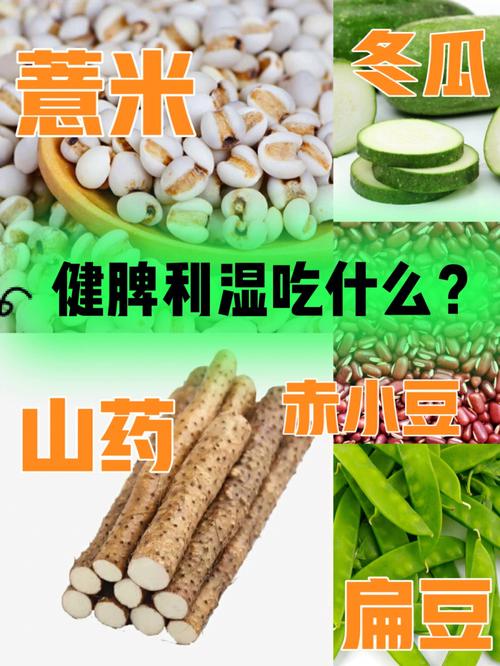 新澳门今晚开奖结果开奖号码查询和这些食物是湿气之源与这些食物是湿气之源英语