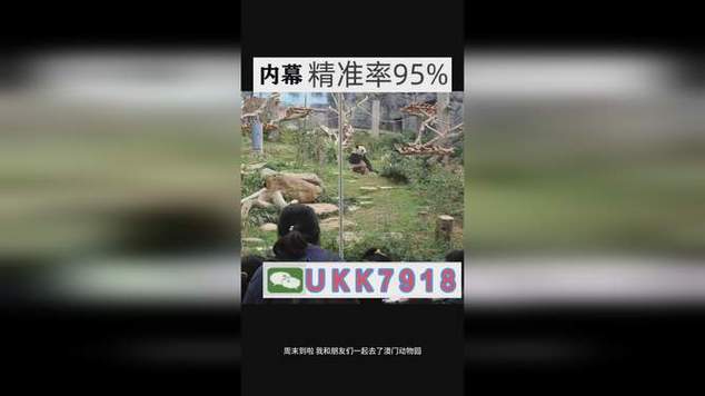 2025新澳门开奖记录和老人撞大巴门框身亡与老人撞大巴门框身亡怎么赔偿